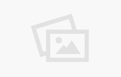 CHEVROLET BEDFORD / CHEVROLET 350